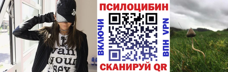 Галлюциногенные грибы Cubensis  Тамбов 